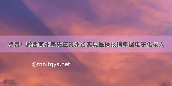 点赞！黔西南州率先在贵州省实现医保报销单据电子化录入