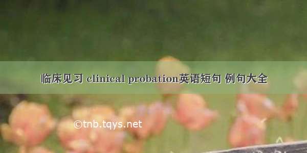 临床见习 clinical probation英语短句 例句大全