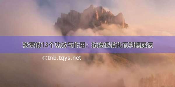 秋葵的13个功效与作用：抗癌促消化有利糖尿病