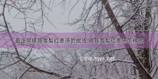 最正宗银耳雪梨红枣汤的做法 银耳雪梨红枣汤怎样做