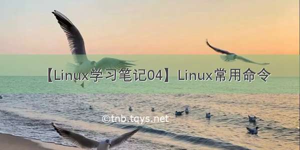 【Linux学习笔记04】Linux常用命令