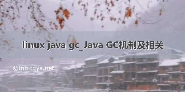 linux java gc_Java GC机制及相关