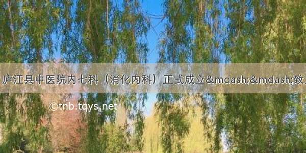 【新科室 新起点】庐江县中医院内七科（消化内科）正式成立——致力于打造区域内消化