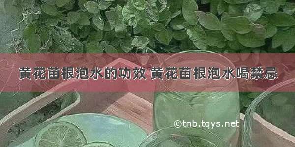 黄花苗根泡水的功效 黄花苗根泡水喝禁忌