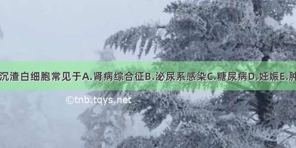 尿沉渣白细胞常见于A.肾病综合征B.泌尿系感染C.糖尿病D.妊娠E.肿瘤