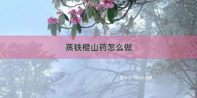 蒸铁棍山药怎么做