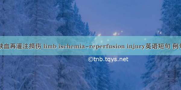 肢体缺血再灌注损伤 limb ischemia-reperfusion injury英语短句 例句大全