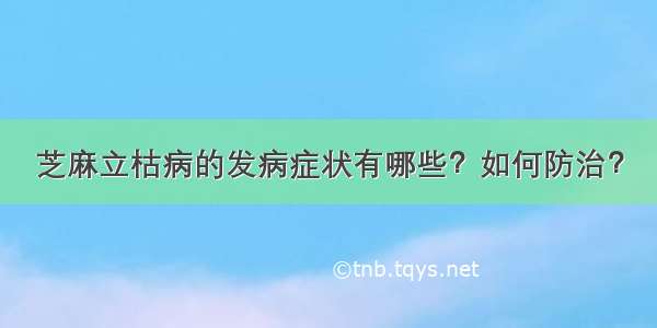 芝麻立枯病的发病症状有哪些？如何防治？