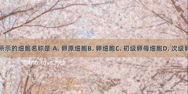 如右图所示的细胞名称是 A. 卵原细胞B. 卵细胞C. 初级卵母细胞D. 次级卵母细胞