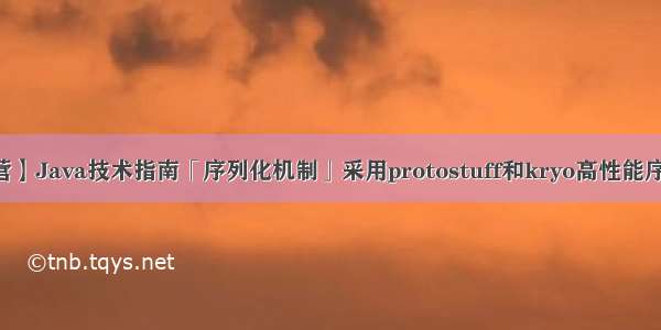 【Java进阶营】Java技术指南「序列化机制」采用protostuff和kryo高性能序列化框架实现