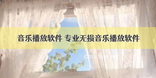 音乐播放软件 专业无损音乐播放软件