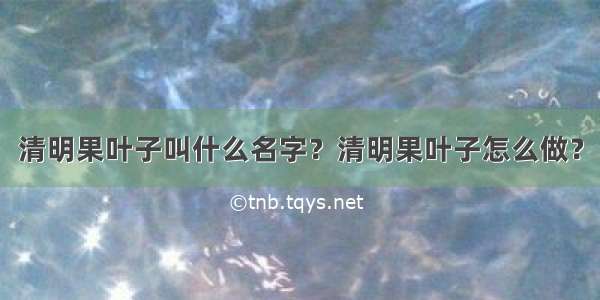 清明果叶子叫什么名字？清明果叶子怎么做？