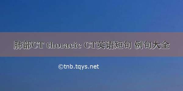 肺部CT thoracic CT英语短句 例句大全