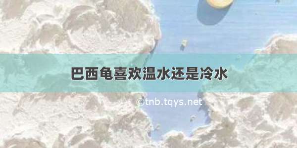 巴西龟喜欢温水还是冷水