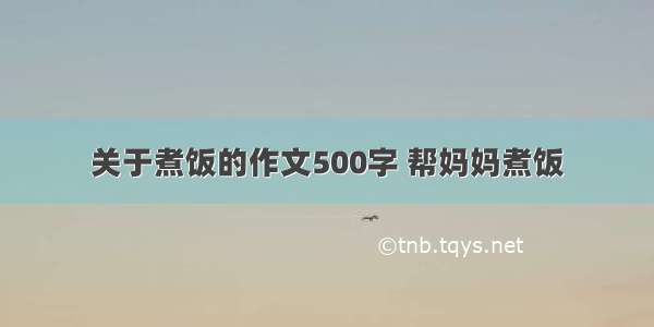 关于煮饭的作文500字 帮妈妈煮饭