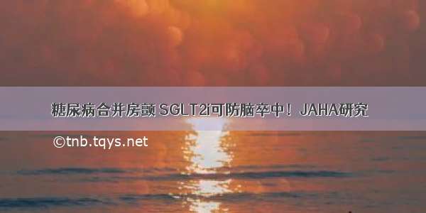 糖尿病合并房颤 SGLT2i可防脑卒中！JAHA研究