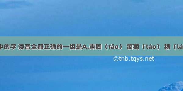 下列词语中的字 读音全都正确的一组是A.熏陶（tāo） 葡萄（táo） 稂（láng）莠 书