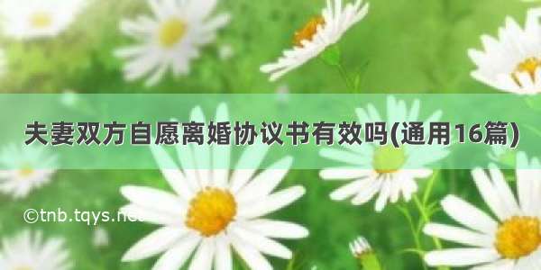 夫妻双方自愿离婚协议书有效吗(通用16篇)