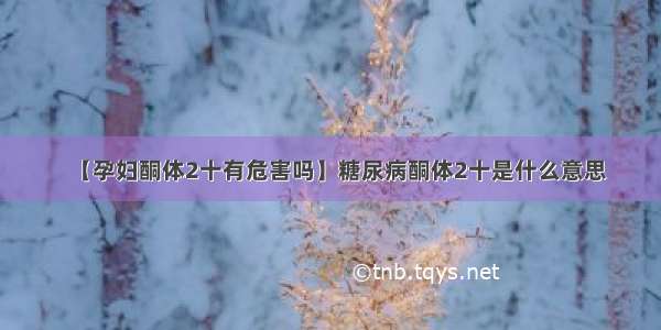 【孕妇酮体2十有危害吗】糖尿病酮体2十是什么意思