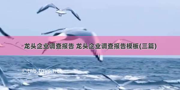 龙头企业调查报告 龙头企业调查报告模板(三篇)