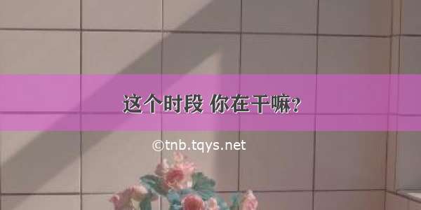 这个时段 你在干嘛？