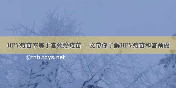 HPV疫苗不等于宫颈癌疫苗 一文带你了解HPV疫苗和宫颈癌