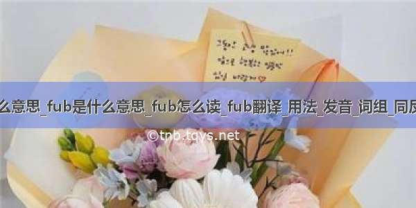 calipso是什么意思_fub是什么意思_fub怎么读_fub翻译_用法_发音_词组_同反义词_小而胖