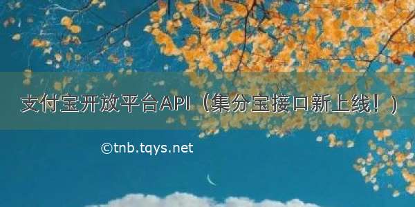 支付宝开放平台API（集分宝接口新上线！)