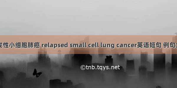 复发性小细胞肺癌 relapsed small cell lung cancer英语短句 例句大全