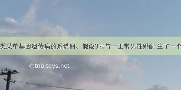 下图表示人类某单基因遗传病的系谱图。假设3号与一正常男性婚配 生了一个既患该病又