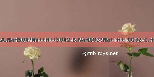 下列电离方程式中书写正确的是A.NaHSO4?Na++H++SO42-B.NaHCO3?Na++H++CO32-C.HClO=H++ClO-D.H2S?H++HS-；