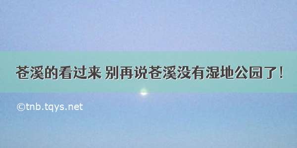 苍溪的看过来 别再说苍溪没有湿地公园了！