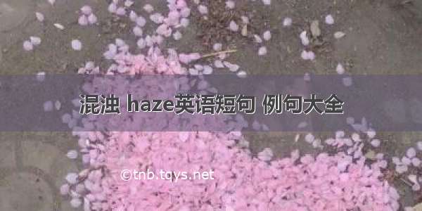 混浊 haze英语短句 例句大全