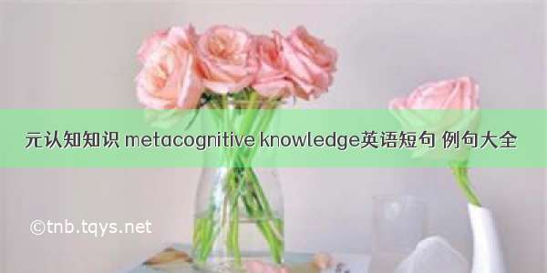 元认知知识 metacognitive knowledge英语短句 例句大全