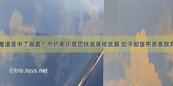 难道是中了圈套？为抗衡印度巴铁发展核武器 如今却宣布愿意放弃