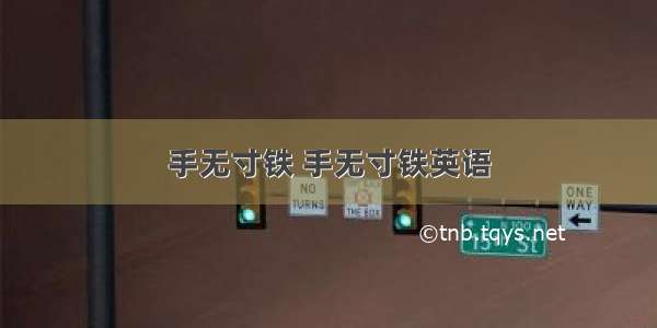 手无寸铁 手无寸铁英语