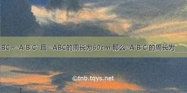 已知△ABC∽△A′B′C′ 且 △ABC的周长为60cm 那么△A′B′C′的周长为________cm．