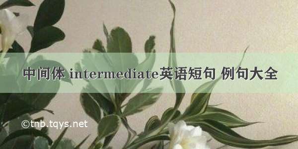 中间体 intermediate英语短句 例句大全