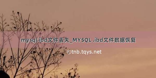 mysql ibd文件丢失_MYSQL .ibd文件数据恢复