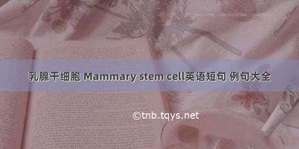 乳腺干细胞 Mammary stem cell英语短句 例句大全