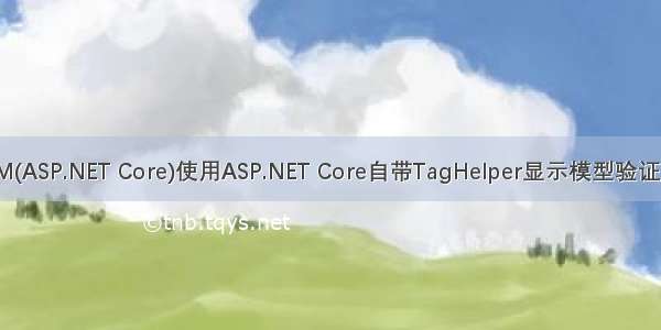 WTM(ASP.NET Core)使用ASP.NET Core自带TagHelper显示模型验证消息