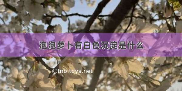 泡泡萝卜有白色沉淀是什么