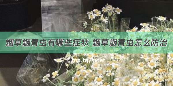 烟草烟青虫有哪些症状 烟草烟青虫怎么防治