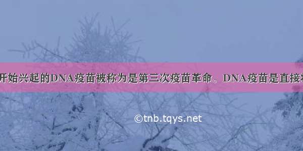 20世纪90年代开始兴起的DNA疫苗被称为是第三次疫苗革命。DNA疫苗是直接将控制合成保护