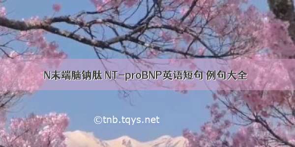 N末端脑钠肽 NT-proBNP英语短句 例句大全