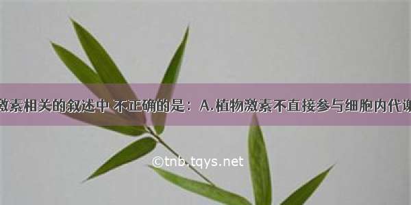 下列与植物激素相关的叙述中 不正确的是：A.植物激素不直接参与细胞内代谢活动B.温特