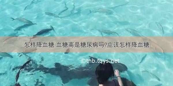 怎样降血糖 血糖高是糖尿病吗?应该怎样降血糖