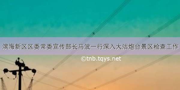 滨海新区区委常委宣传部长马波一行深入大沽炮台景区检查工作