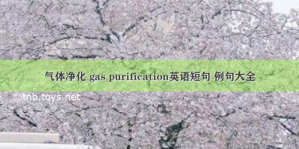 气体净化 gas purification英语短句 例句大全