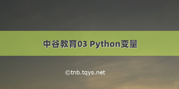 中谷教育03 Python变量